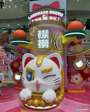 上水可愛的新年貓造型