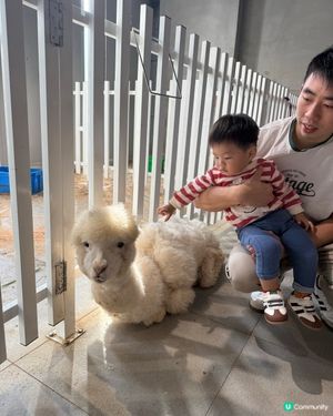 萬象食家親子遊！筍崗站直達超方便！🤩