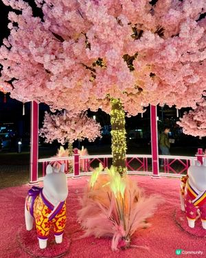 粉色浪漫櫻花海🌸✨新年必去