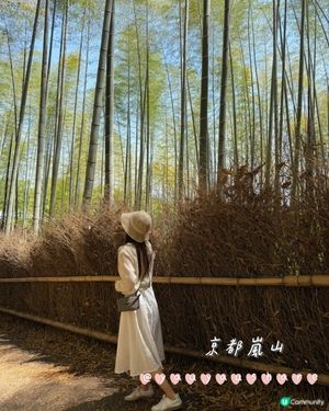 【京都慢旅行】嵐山小火車 ✕ 經典一日遊攻略 🚂✨