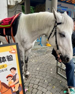 深圳都市裡的350年客家古鎮，甘坑古鎮免費玩！ 🏮