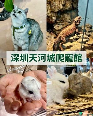 🦎深圳天河城｜遠古密碼·珍奇爬寵館✨
