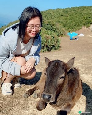 塔門離島之旅🏝️放鬆身心🌊🌸