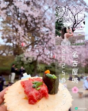 🆕2025年4月🌸名古屋城春祭🏯櫻花實況