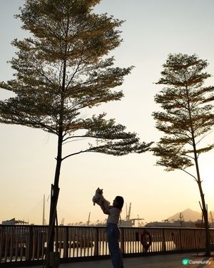 睇日落好地方🌅