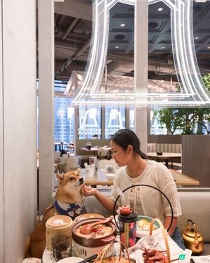 毛孩可以一齊飲茶😍