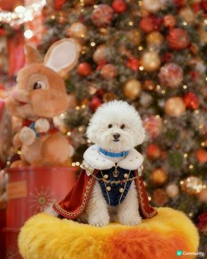 蠢蠢帶大家到糖果🍬屋💗( ᵘ ᵕ ᵘ ⁎)
The LO