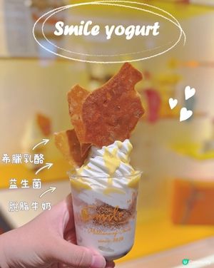 Smile yogurt 令人回味嘅乳酪雪糕🍦😋

Va