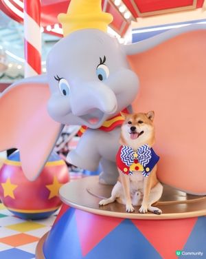 【Dumbo聖誕飛翔狂想曲】