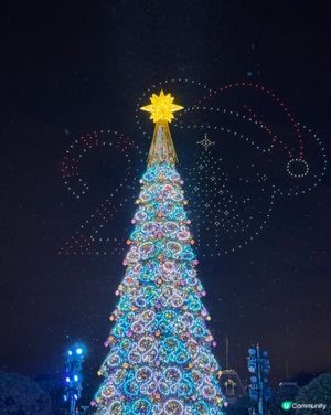 今年迪士尼聖誕樹🎄勁靚！快啲去打卡📸！