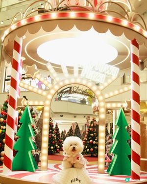 沙田新城市廣場