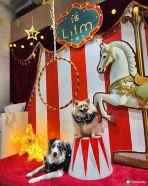 【活】北角匯海景晚餐！毛孩都Like 🥰