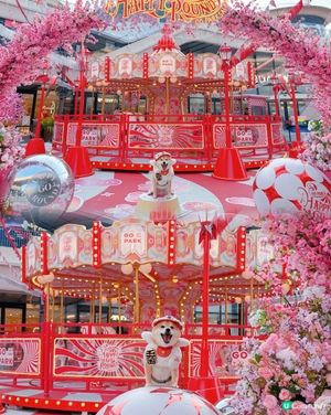 必去😍西沙Go Park🌸新春浪漫打卡位