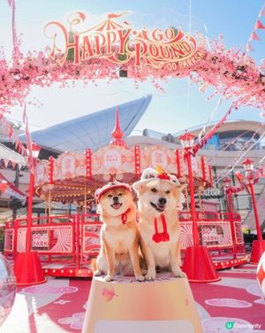 桃花世界打卡📸🌸