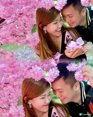 💖粉紅仙境～🌸漫天櫻花拍拖打卡聖地@北角匯❣️