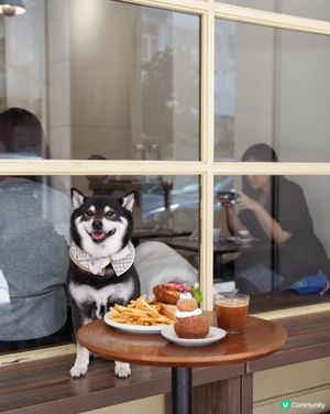 好食到要encore！😋