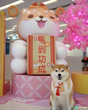 🦊柴運亨通新春樂園🧧