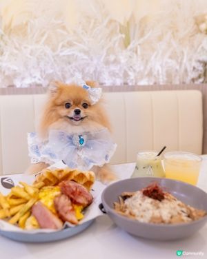 油尖旺美食天堂！☕🥐必試牛角包窩夫！✨🅿️