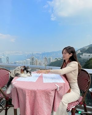 情人節首選 | 山頂全景寵物友善扒房•同媽咪浪漫「撐枱腳」