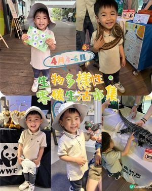 九龍灣免費玩攤位 體驗🐍🐢🦎