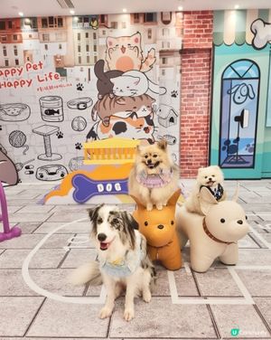 毛孩時尚樂園Pet Studio開幕!潮玩MBTI變裝秀~