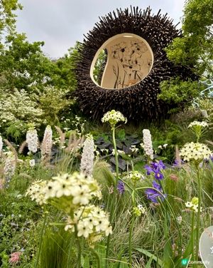 🌸 2026 粵港澳大灣區花展 (深圳)