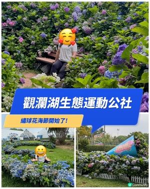 觀瀾湖生態運動公社繡球花海節開始了！