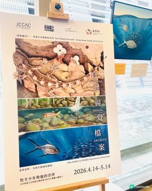 🎨【自然.視覺.檔案】野生生態插畫展 🦎🐟