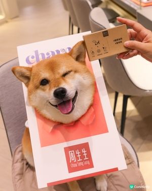  Charme 寵物系列黃金串珠