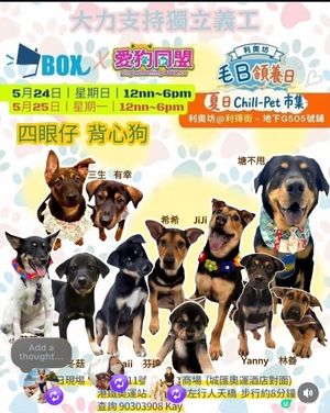今個假期好去處🌟寵物市集🐶🛍️