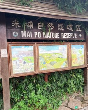 再度走入禁區收基圍蝦