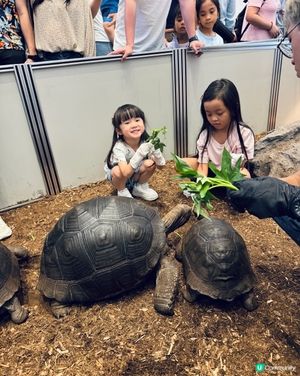 灣仔合和商場-近距離接觸動物