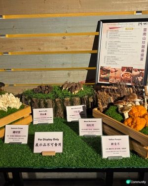 銅鑼灣柏寧 性價比Buffet!🤤✨