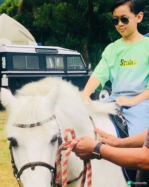 馬年🐴必睇嘅馬術🏇🏻劇場