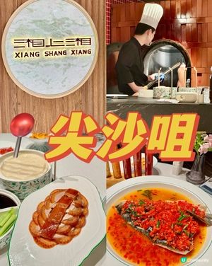 米芝蓮指南推介 高級正宗湖南菜🌶️