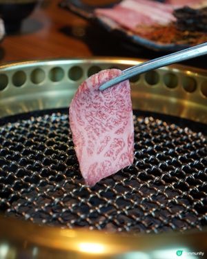 【尖沙咀｜性價比高而且服務好嘅特色燒肉套餐】