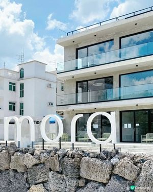 新界村屋Cafe遊記📸！十萬個打卡位隨便影