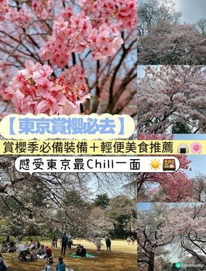 新宿御苑櫻花盛宴🌸❗️ 賞櫻季必備裝備＋輕便美食推薦 🍙🌸