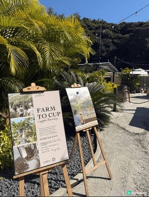 放假梅窩曬太陽☀️！中環船去，躺平hea爆！😎