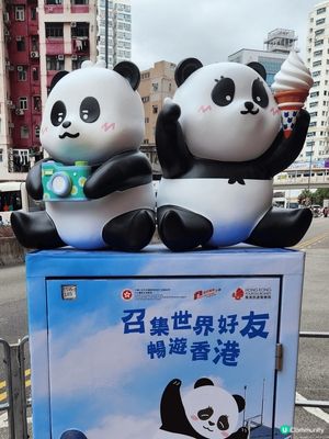 發現郵筒又變身可愛熊貓🐼！