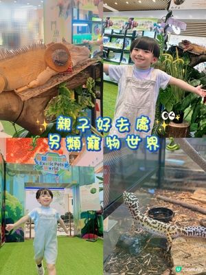 兩棲爬蟲展！🤩 仔仔話想做動物學家！🧑‍🔬