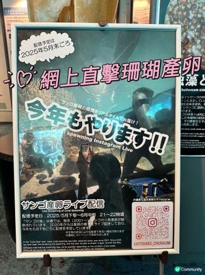 5月尾可網上直擊沖繩美麗海水族館珊瑚產卵🪸