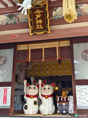 今戶神社，貓奴必到