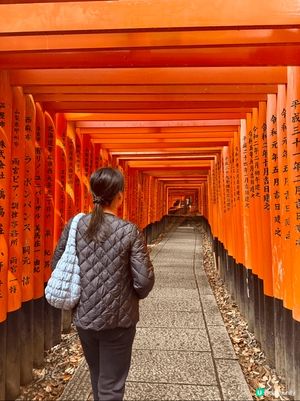 京都清水寺觀光一日遊⛩️