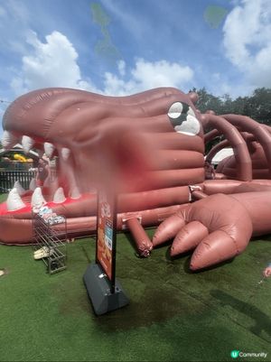 夏日炎炎，梗係去玩水啦，位於大尾篤既恐龍水上樂園，一個價錢包