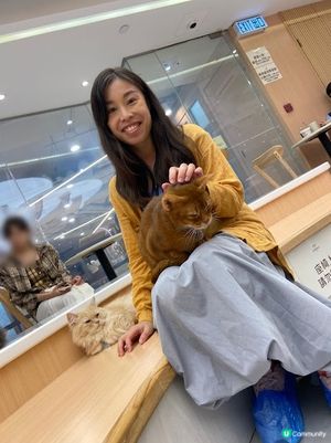 荔枝角貓貓cafe😻！被貓貓包圍呀～ 必去！ 🐾
