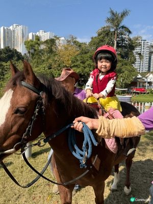 🌼 強烈推薦!大埔鳳園蝶豆花園 🌼