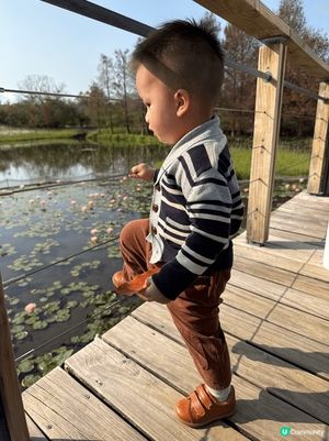 濕地公園蓮花🪷