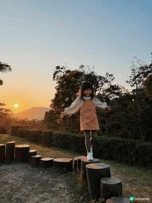 清水灣郊野公園放風箏：）