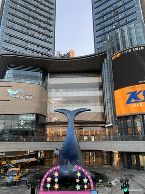深圳光明鯨吞快樂🐠📖 勁Chill💫